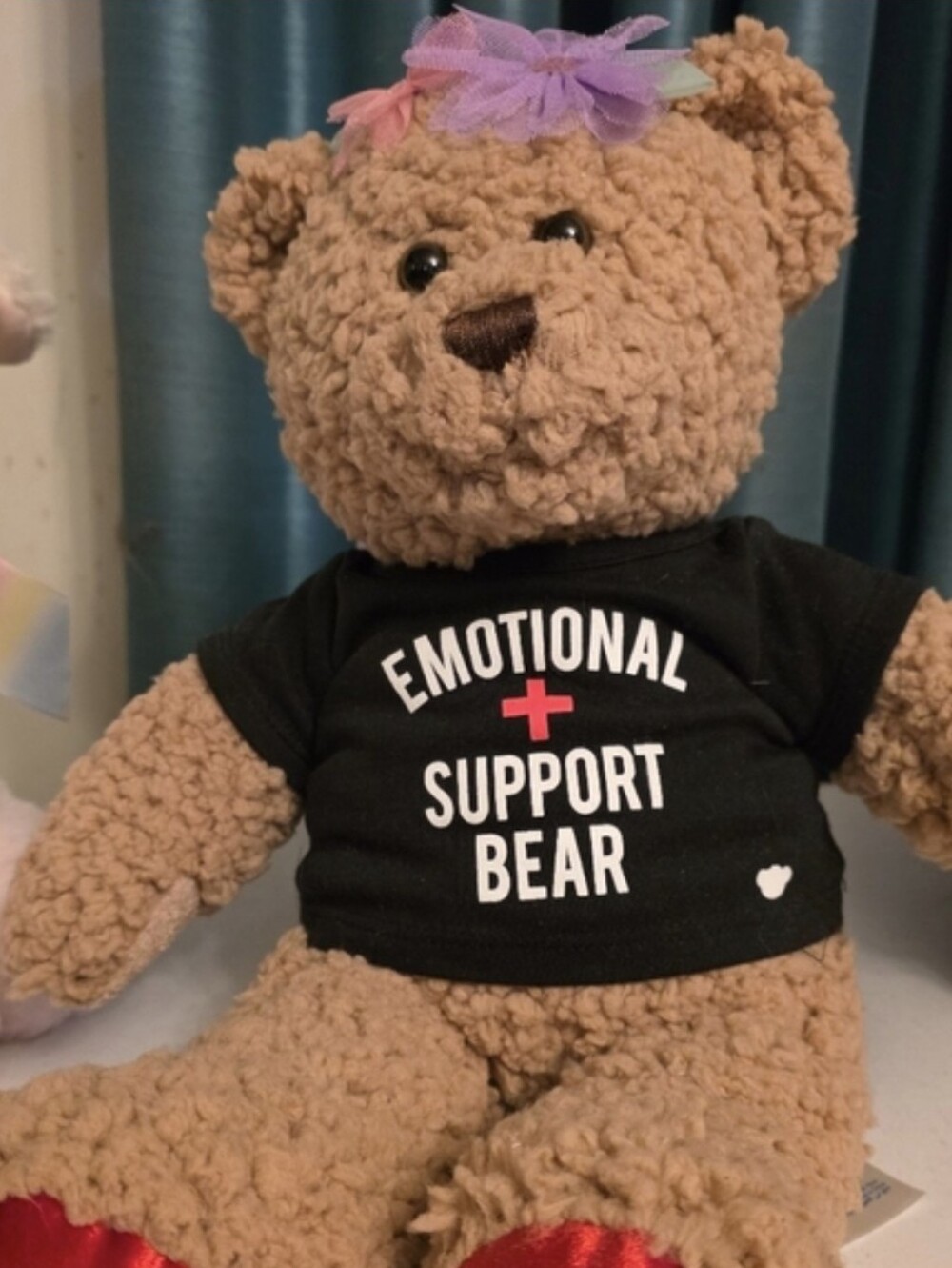 Emotional Support Build-A-Bear Plush